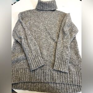 Everlane Wool/Cotton Turtleneck Sweater: Minimal Wear